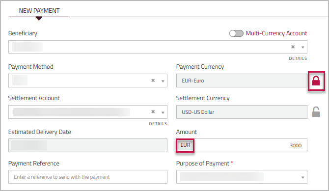 Make Payment page showing EUR Payment Currency locked