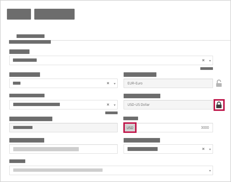 Make Payment page showing USD Settlement Currency locked