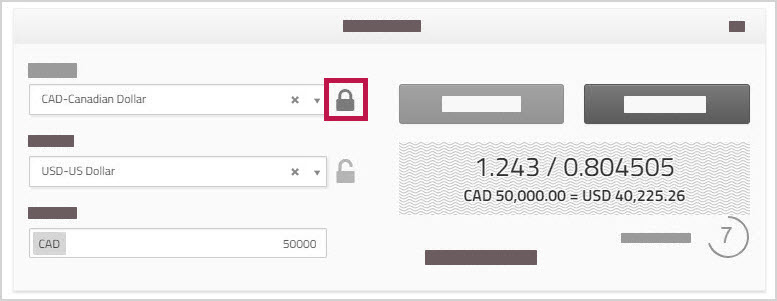 Spot Trade section showing lock beside CAD currency field