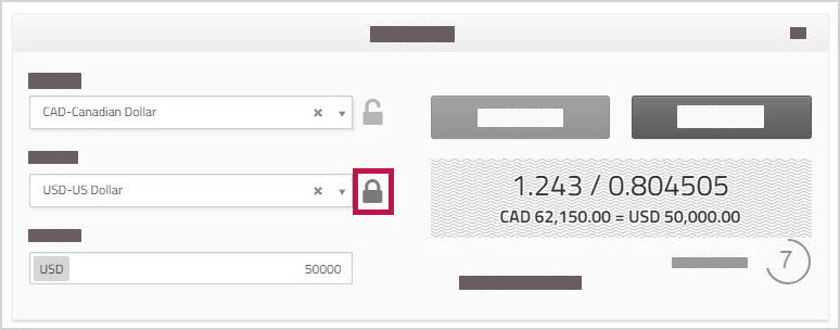 Spot Trade section showing lock beside USD currency field